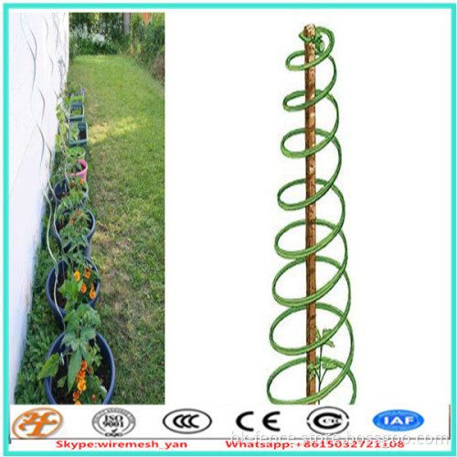 green pvc coated or galvanized tomato spiral twizzle garden plant support stakes